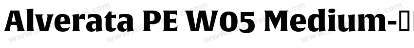 Alverata PE W05 Medium字体转换